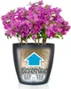 LECHUZA® Pflanzgefäße CLASSICO Color 28 Schiefergrau Produktbild-Vorschau 3