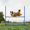 YARDIN Súprava agility vybavenia pre psov, súprava prekážok Náhľad obrázku produktu 8