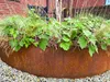 Bordatura per prato in acciaio Corten 40 x 106 cm Anteprima dell’immagine prodotto 5