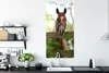 MuchoWow® Poster Pferd - Natur - Zaun 60x120 cm - Produktbild-Vorschau 3