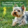 AniForte Ectoprotex dog Spot On für Hunde 50ml - Repellent Produktbild-Vorschau 5