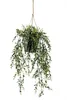 Emerald Kunstpflanze Buchsbaum Hängend in Topf 50 cm Produktbild-Vorschau 1