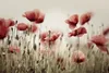 Muralo XXL Selbstklebende FOTOTAPETE Roter MOHNBLUMEN Pole Produktbild-Vorschau 2