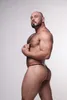 SUKREW G-String Gleaming Gold - Größe L Náhled obrázku produktu 3