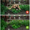 Metall-Gartenzaun 10 Stück – Hunde- & Kaninchenschutz, 3,3 Produktbild-Vorschau 6