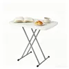 Table pliante de jardin Table de camping Table Voir les images du produit 1