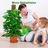 Monstera Rankhilfe 4 Stück 24 Zoll Moosstab Pflanzen Produktbild-Vorschau 2
