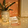 A close-up shot of a string of warm white LED lights wrapped around a potted cactus and a clear geometric object. Produktbild-Vorschau