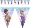 Bandiera FROZEN II 9Mix, Procos Anteprima dell’immagine prodotto 2