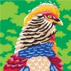 Colorizzy Malen nach Zahlen - Papagei Produktbild-Vorschau 5
