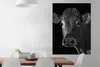 MuchoWow® Poster Kuh - Tiere - Schwarz - Weiß - Porträt Produktbild-Vorschau 2