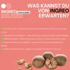 Mönchsfrucht Pulver – 100g Produktbild-Vorschau 5