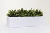 VIVANNO Bac à fleurs en fibre de verre FLOBO Bac, blanc mat Voir les images du produit 6