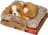 Schlafender Cavalier King Charles Welpe 13 cm klein Perfect Produktbild-Vorschau 2