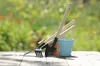 Set aus kleinen Gartenwerkzeugen, Kelle, Pflanzmaschine, Produktbild-Vorschau 3