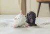 Beeztees Hundespielzeug Puppy Einhorn Owen weiß Produktbild-Vorschau 7