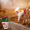 Schwein mit Maus und Herz Blumentopf mit Spruch Schön dass Produktbild-Vorschau 6