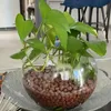 A potted plant with green leaves in a glass bowl filled with brown pebbles, placed on a decorative tray. Produktbild-Vorschau