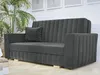 A dark gray sofa with a single throw pillow is shown in a well-lit room with a large potted plant and framed artwork on the wall. Náhled obrázku produktu