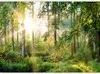 Selbstklebende Folie Fototapete - Untamed Nature 147x105 cm Produktbild-Vorschau 5