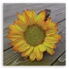 Leinwandbild Gelbe Sonnenblume 40x40 Feeby Gelb bild für Produktbild-Vorschau 3