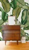 Coloray Fototapete 104x70 cm Vlies-Fototapete - Botanische Produktbild-Vorschau 1