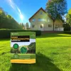 EcoDeco - Semences de trèfle nain pour gazon - Mélange de Voir les images du produit 12