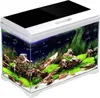 A well-decorated aquarium with small fish, plants, and rocks. Anteprima dell’immagine prodotto