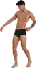 Speedo Pánské plavky Eco Endurance+ 17 cm, černé, Náhled obrázku produktu 12