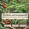 Dolomitkalk 1kg Rasenkalk Moosentferner Gartenkalk Produktbild-Vorschau 5