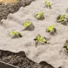Young lettuce plants are growing through holes in a tan landscape fabric laid over dark soil. Produktbild-Vorschau