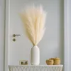 Layba Herbe de la Pampa Décoration en beige Boho Herbe de Voir les images du produit 9