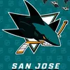 Pościel hokejowa NHL San Jose Sharks Shields Rozmiar: Podgląd zdjęcia produktu 4