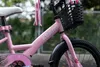 Joystar meisjesfiets, 20 inch, met poppenstoeltje en Productafbeelding-voorbeeld 5
