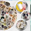 Lustige Katzenaufkleber mit Memes, 50er-Set zum Produktbild-Vorschau 4