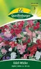 Edelwicke, Bijou-Mischung Produktbild-Vorschau 1