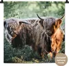 MuchoWow® Wandteppich Wandbehang Schottische Hochlandrind - Produktbild-Vorschau 1