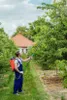 A man in blue overalls is using a long telescopic sprayer to spray a tree in an orchard. Náhled obrázku produktu