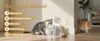 A cat drinking from a pet water fountain, with another cat in the background. Produktbild-Vorschau