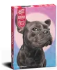 Puzzle 1000 piese Im Watching You 30097 Cherry Pazzi Produktbild-Vorschau 1