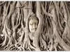 Selbstklebende Folie Fototapete - Buddha's Tree 343x245 cm Produktbild-Vorschau 5