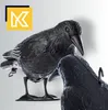 KADAX Black Raven « Krokom », plastique, répulsif pour Voir les images du produit 18