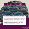 Acai Pulver 100 g – Gefriergetrocknete Acai Beeren Produktbild-Vorschau 11