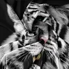 FEBE 3D Bettwäsche Wild Tiger Bettbezug 135x200 + 80x80 cm Produktbild-Vorschau 5