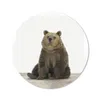 MuchoWow® Mauspad Mousepad Bär - Grizzly - Tiere 20x20 cm - Produktbild-Vorschau 1