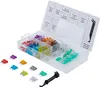 A clear, well-lit image of a car fuse assortment kit, with the lid open, showing various fuses and a fuse puller tool. Some fuses are also laid out in front of the kit. Anteprima dell’immagine prodotto