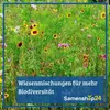 Kiepenkerl Blumensamen Dachbegrünung und Trockenrasen 2 - 4 Produktbild-Vorschau 5