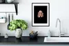 MuchoWow® MuchoWow® Gerahmtes Poster Roségold - Blatt - Produktbild-Vorschau 4