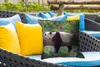 MuchoWow® Outdoor Kissen - Panda - Baum - Tiere - Natur - Produktbild-Vorschau 4