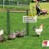 horizont Hotgate Weidetor  Tor für Weidezaun 105-120 cm Produktbild-Vorschau 2